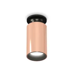 Потолочный светильник Ambrella Light Techno Spot XS6326101 (N6902, C6326, N6111)