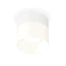 Потолочный светильник Ambrella Light Techno Spot XS8101016 (C8101, N8402)