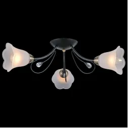 Потолочная люстра Illumico IL0040-3CSQ-79 BK AB