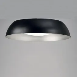 Потолочный светильник Mantra Argenta 4848E