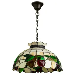 Подвесной светильник Arte Lamp Fruits A1232SP-2BG