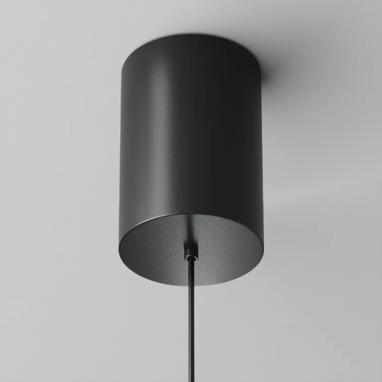 Подвесной светильник Maytoni Plato P076PL-L12W3K-B в Нижнем Новгороде