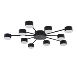 Потолочная люстра Lumion Comfi Torina 8344/10C