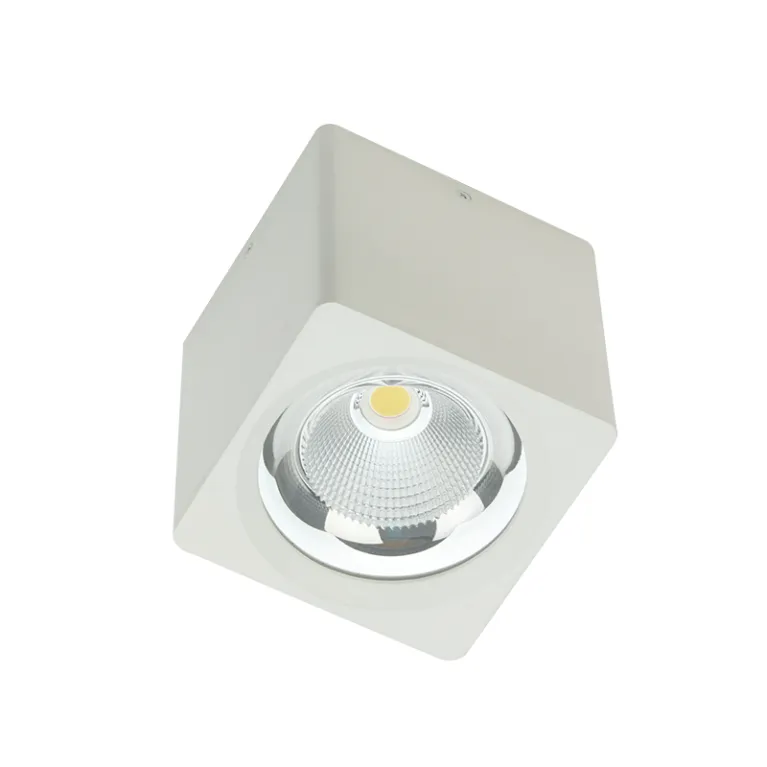 Накладной светильник Fiberli CH-SD220-1 12120101 в Нижнем Новгороде