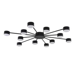 Потолочная люстра Lumion Comfi Torina 8344/12C