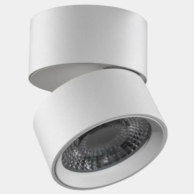 Накладной спот Lumker R-SSF-WH-WW-DIM 021324 в Нижнем Новгороде