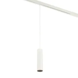 Трековый магнитный светильник Myfar Ray MT0221-20W3K-S-W