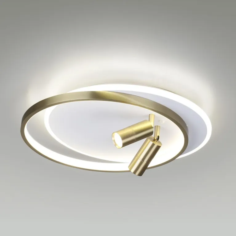 Потолочная светодиодная люстра Lumion Naoko 5603/63CL в Нижнем Новгороде