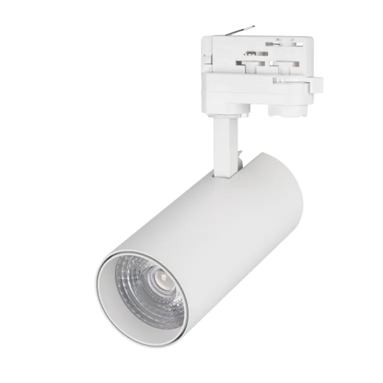 Трековый светильник Arlight LGD-Gera-Truecolor-4TR-R74-20W Day4000 CRI98 031409 в Нижнем Новгороде