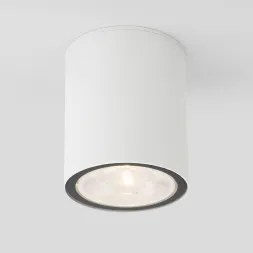 Уличный светодиодный светильник Elektrostandard Light 35131/H белый 4690389176579