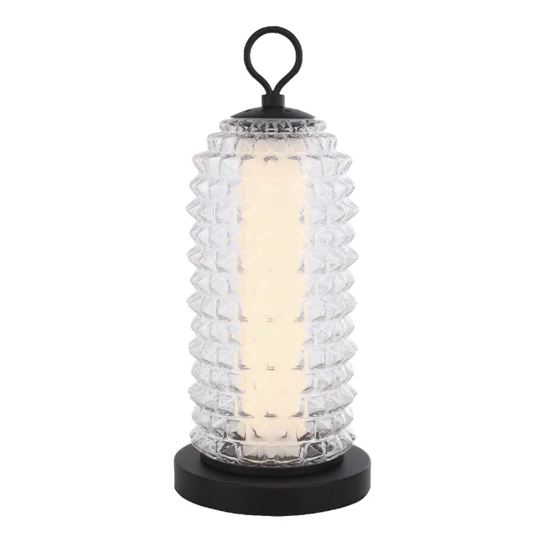 Настольная лампа ST Luce Saguaro SL6144.404.01 в Нижнем Новгороде