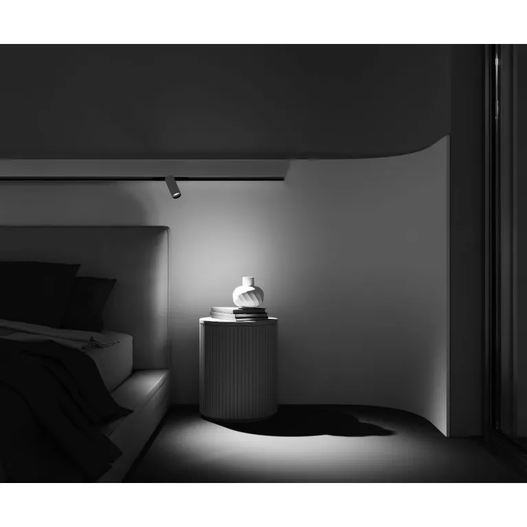 Трековый магнитный светильник Maytoni Focus Led TR032-2-12W3K-M-BW в Нижнем Новгороде