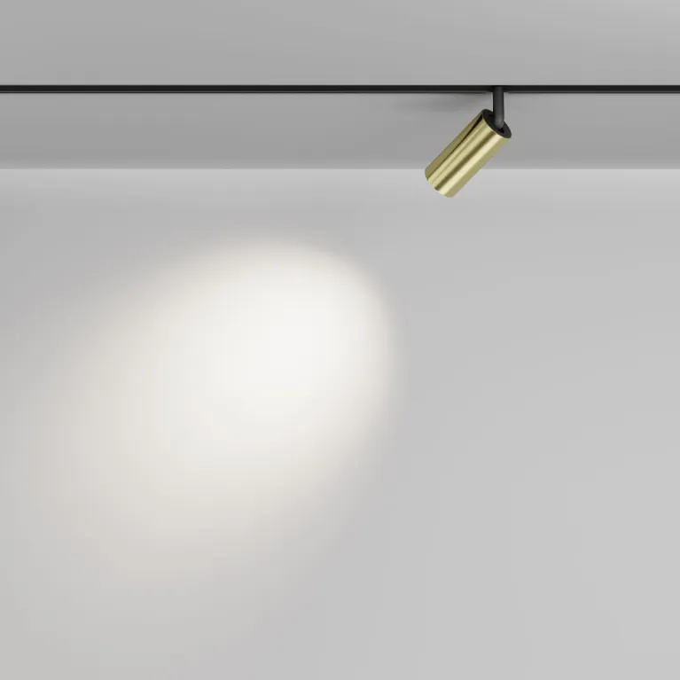 Трековый магнитный светильник Maytoni Focus Led TR032-4-5W3K-M-DS-BBS в Нижнем Новгороде