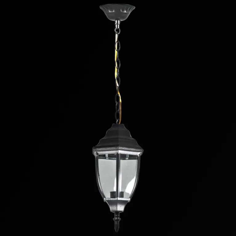 Уличный подвесной светильник Reluce 00837-0.3-001SH BK в Нижнем Новгороде