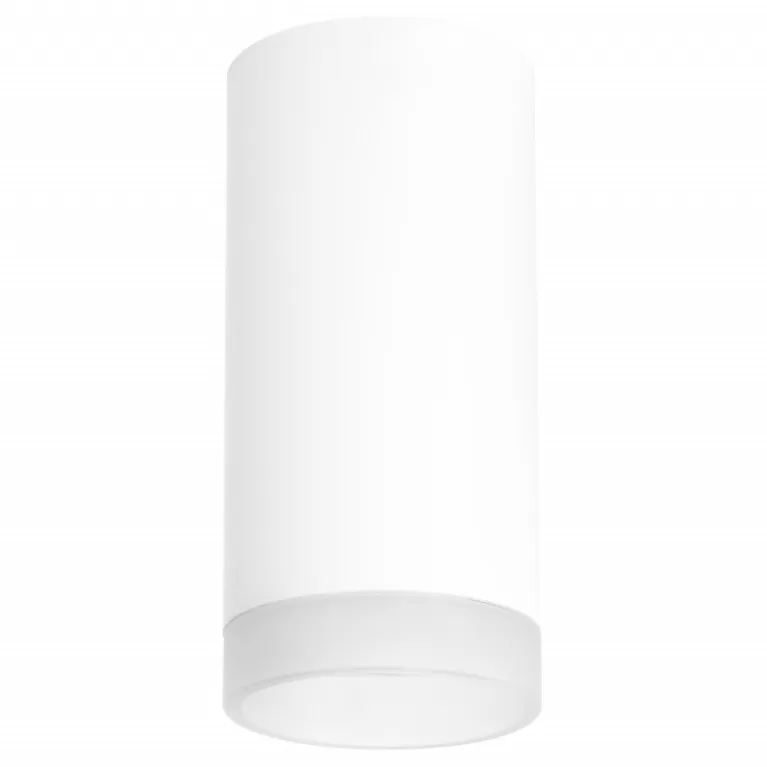Потолочный светильник Lightstar RULLO R648680 (216486+202480) в Нижнем Новгороде