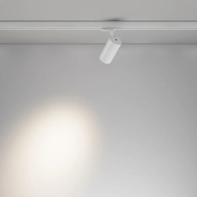Трековый трехфазный светильник Maytoni Focus Led TR197-3-12WCCT-M-W в Нижнем Новгороде