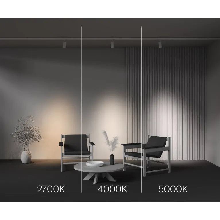 Трековый трехфазный светильник Maytoni Focus Led TR197-3-20WCCT-M-W в Нижнем Новгороде