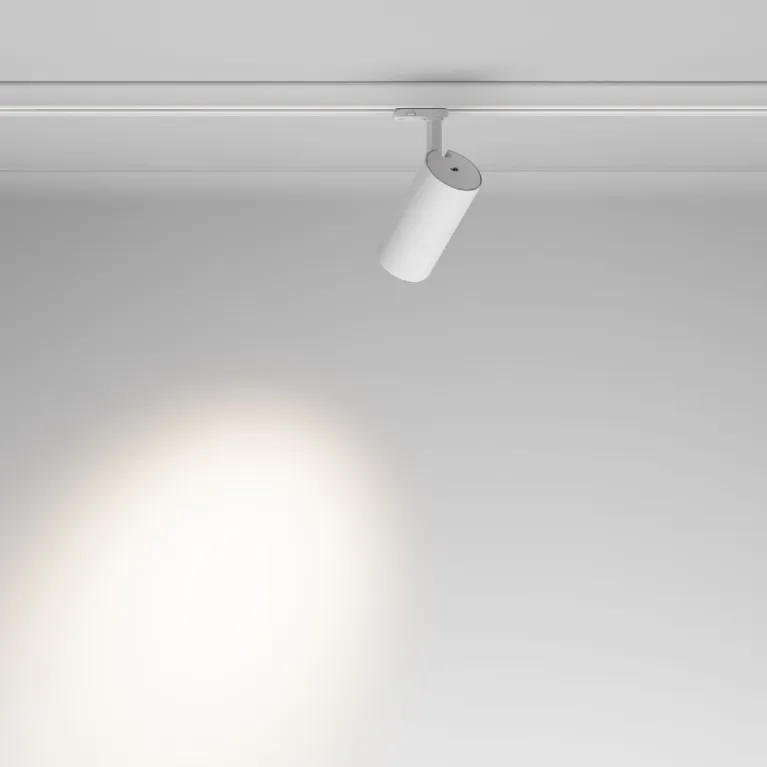 Трековый трехфазный светильник Maytoni Focus Led TR197-3-30WCCT-M-W в Нижнем Новгороде