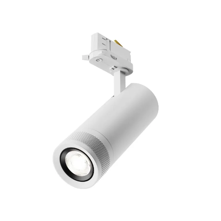 Трековый трехфазный светильник Maytoni Focus Zoom TR198-3-20W4K-Z-W в Нижнем Новгороде
