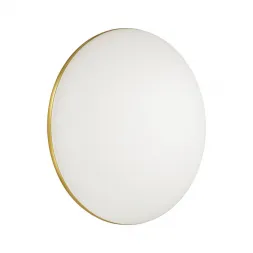 Настенно-потолочный светодиодный светильник Sonex Lassa 3043/EL