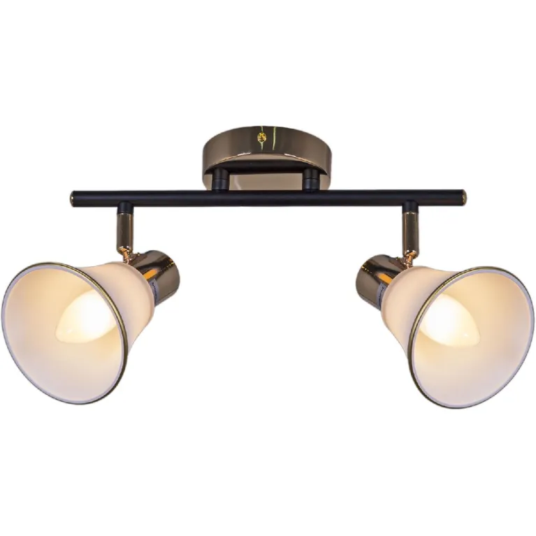 Спот Reluce 05901-0.8-02 BK+FGD в Нижнем Новгороде