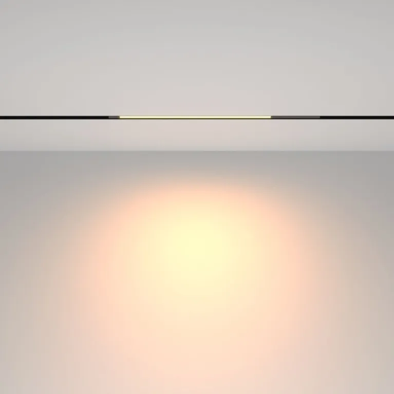 Трековый магнитный светильник Maytoni Technical Basis TR231-2-10W3K-B в Нижнем Новгороде