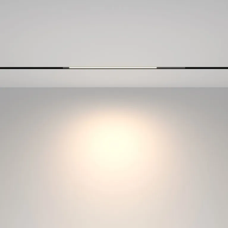 Трековый магнитный светильник Maytoni Technical Basis TR231-2-10W4K-B в Нижнем Новгороде