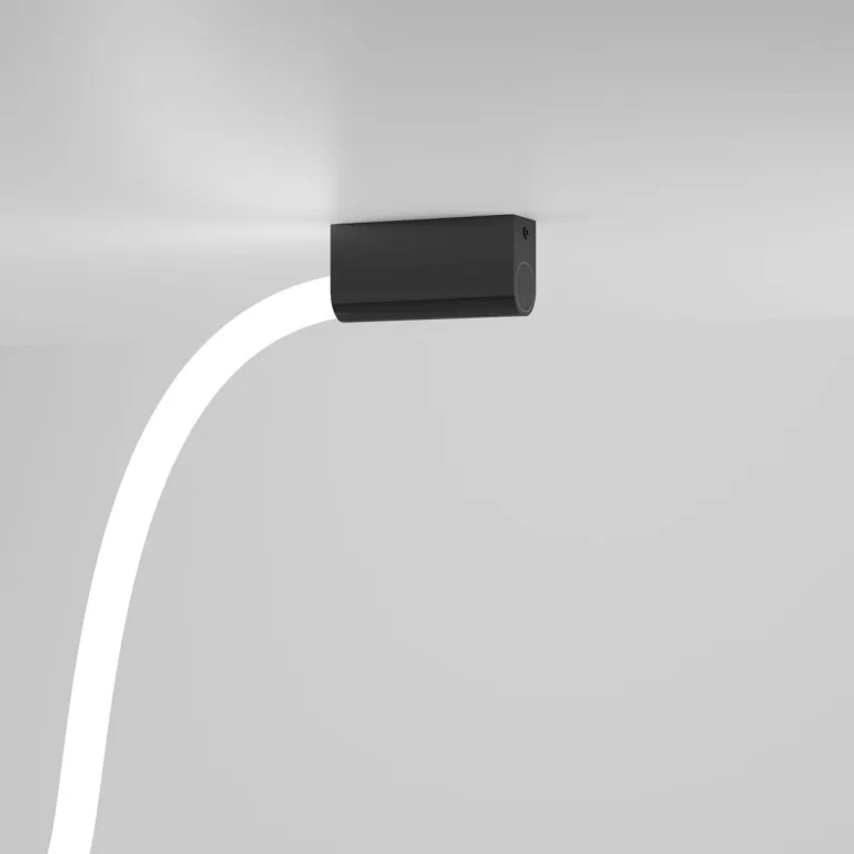 Накладное крепление Elektrostandard Full Light FL 28101 4690389216947 a070759 в Нижнем Новгороде