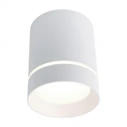 Потолочный светодиодный светильник Arte Lamp A1909PL-1WH