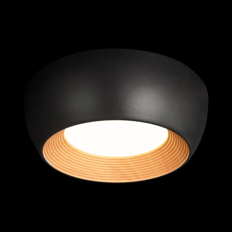 Потолочный светильник Loft IT Folk 10255/350 Black в Нижнем Новгороде