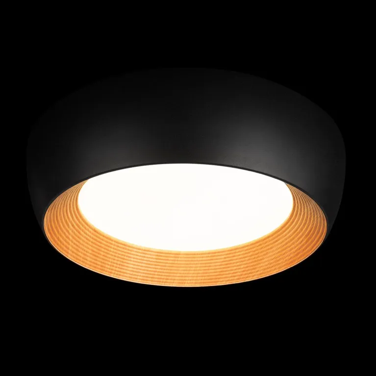 Потолочный светильник Loft IT Folk 10255/500 Black в Нижнем Новгороде