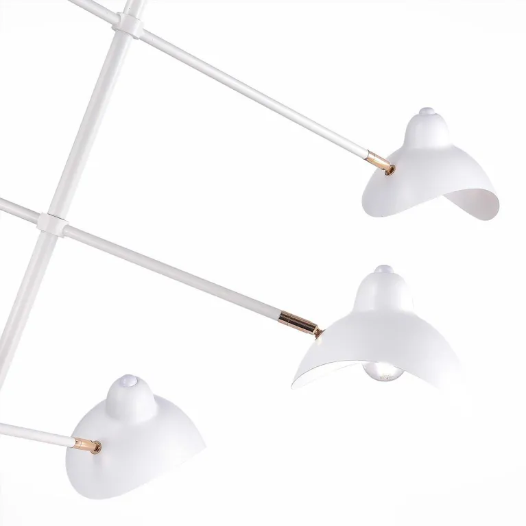 Подвесная люстра ST Luce Minne SL1801.503.06 в Нижнем Новгороде
