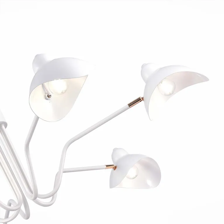 Подвесная люстра ST Luce Minne SL1801.513.06 в Нижнем Новгороде