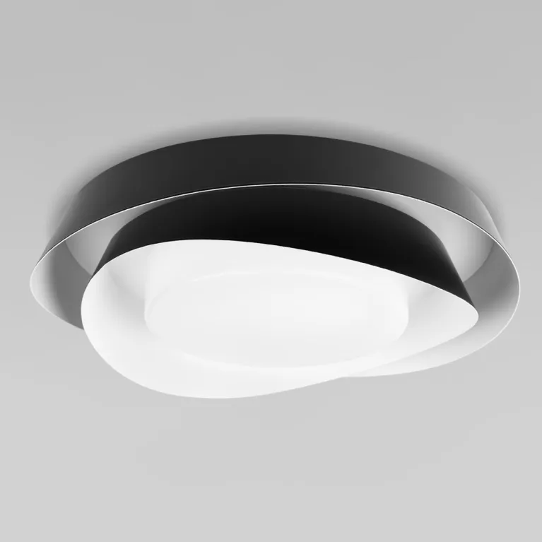 Потолочный светильник Loft IT Petale 10256 Black в Нижнем Новгороде