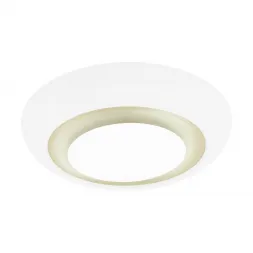 Потолочный светодиодный светильник Eglo Canuma 97038 Потолочный светодиодный светильник Eglo Canuma 97038