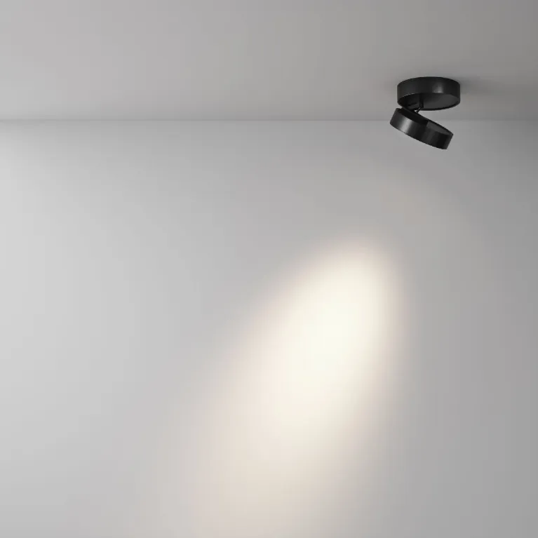 Накладной спот Maytoni Magic C022CL-12W4K-B-1 в Нижнем Новгороде