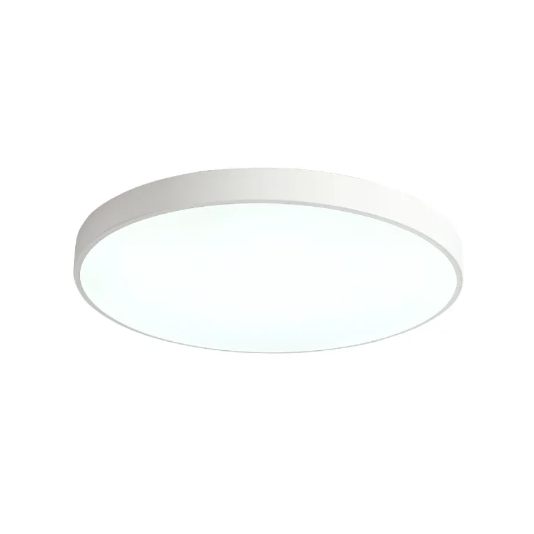 Потолочный светильник Zortes Tortty ZRS.02564.120 в Нижнем Новгороде