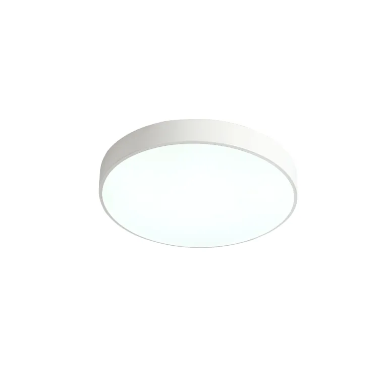 Потолочный светильник Zortes Tortty ZRS.02564.48 в Нижнем Новгороде