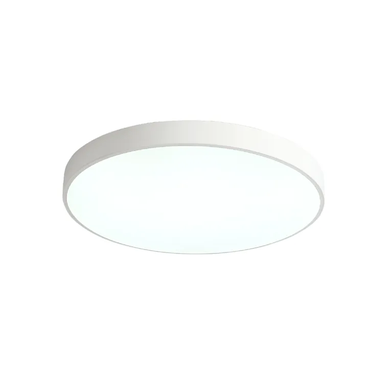 Потолочный светильник Zortes Tortty ZRS.02564.96 в Нижнем Новгороде