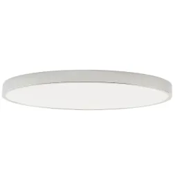 Потолочный светильник Zortes Tortty ZRS.02565.120