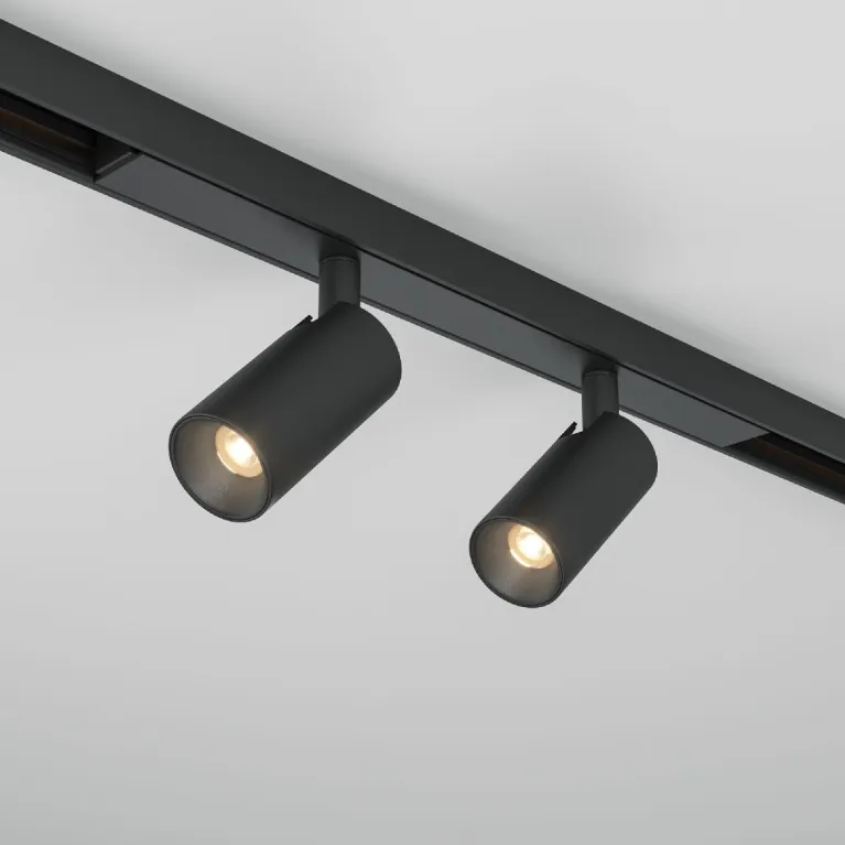 Трековый магнитный светильник Maytoni Focus Duo TR176-1-2X3WTW-M-B в Нижнем Новгороде