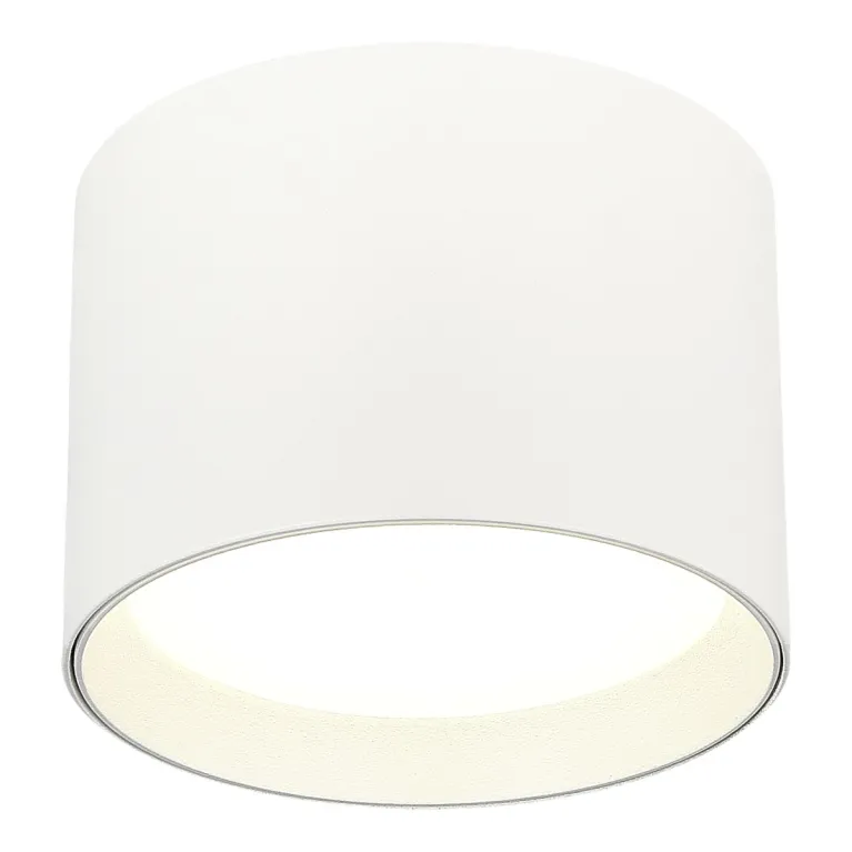 Потолочный светильник ST Luce ST163.502.01.02 в Нижнем Новгороде