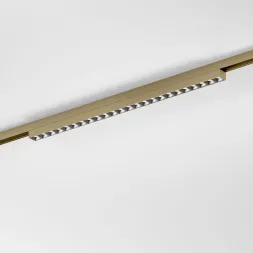 Трековый магнитный светильник Elektrostandard 85529/01 4690389218750 a071850