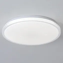Потолочный светильник Reluce 01926-9.2-24W*2