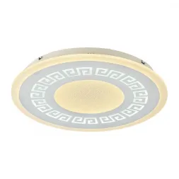 Потолочный светодиодный светильник F-Promo Ledolution 2273-5C