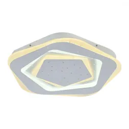 Потолочный светодиодный светильник F-Promo Ledolution 2281-5C