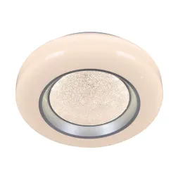 Потолочный светильник Reluce 02098-9.2-24W*2
