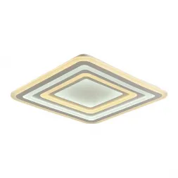 Потолочный светодиодный светильник F-Promo Ledolution 2282-8C