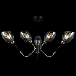 Потолочная люстра Illumico IL9960-6CSQ-79 BK AB