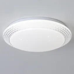 Потолочный светильник Reluce 02099-9.2-60W*2